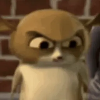 🤩 animal, cartoon, cute, expression, funny, meme, owl telegram sticker