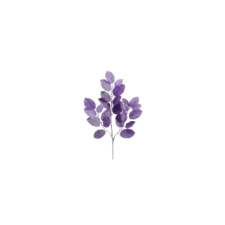 🤣 lavanda, flor, morado, planta, naturaleza, hierba whatsapp sticker
