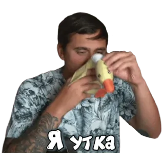 🦆 Я утка homem, pato, animal, humor, engraçado telegram sticker