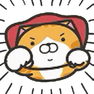🐱