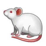 🐁