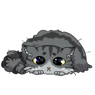 😥 mèo, động vật, dễ thương, mèo con, mèo xám, phim hoạt hình telegram sticker