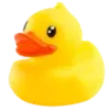 🐥