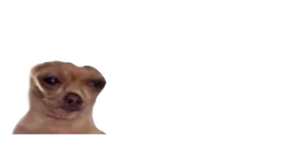 😖 dog, chihuahua, meme, funny, pet, animal telegram sticker