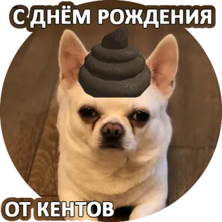 🎁 С ДНЁМ РОЖДЕНИЯ
ОТ КЕНТОВ cane, compleanno, cacca, divertente, animale, meme whatsapp sticker