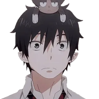 😳 Rin Okumura Blue Exorcist Anime, Blue Exorcist, Rin Okumura, Charakter, Aufkleber whatsapp sticker