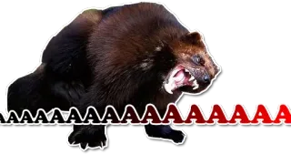 Wolverines telegram stickers