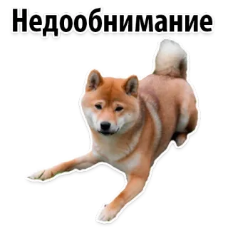 ☹️ Недообнимание dog, shiba inu, animal, cute, pet telegram sticker