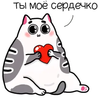 ❤️ Ты моё сердечко แมว, หัวใจ, ความรัก, น่ารัก, สัตว์, การ์ตูน telegram sticker