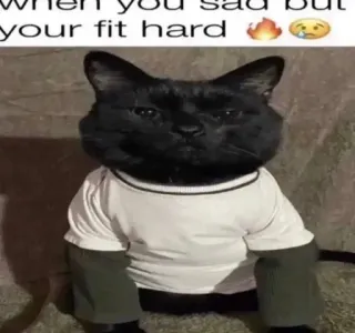 😐 when you sad but your fit hard telegram sticker