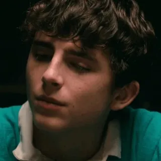 🍃 Timothée Chalamet acteur, portrait, célébrité, cheveux bouclés, Timothée Chalamet telegram sticker