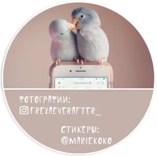 Папуг лов telegram stickers