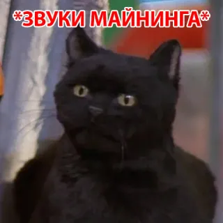 😙 *ЗВУКИ МАЙНИНГА* 猫, ミーム, ロシア telegram sticker