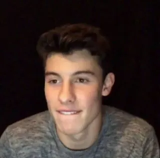 😏 Shawn Mendes celebrity, musician, singer, portrait, young man telegram sticker