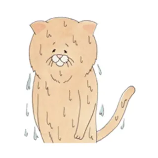 😰 cat, sweating, worried, feline, animal, cartoon telegram sticker