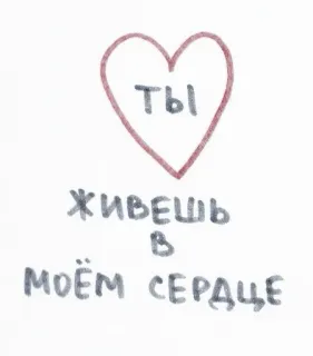 🦩 ты
живешь
в
моём сердце coeur, amour, russe, écriture, texte telegram sticker