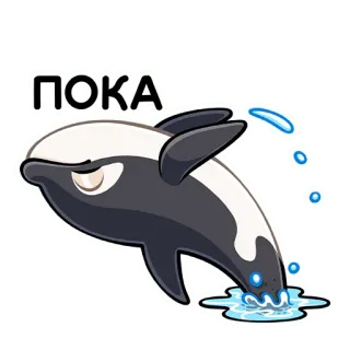 👋 ПОКА 범고래, 고래, 바다 동물, 러시아어, 안녕, 만화 telegram sticker