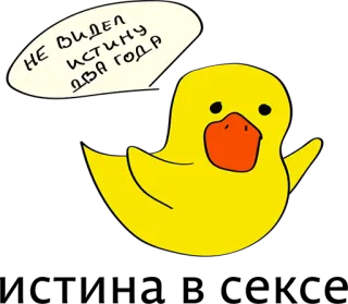 😍 НЕ ВИДЕЛ ИСТИНУ ДВА ГОДА duck, cartoon, animal, bird, meme, sticker telegram sticker