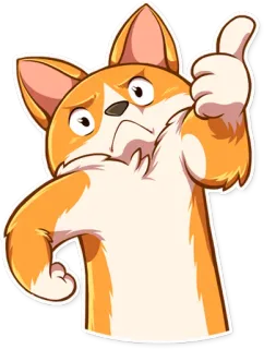 👍 corgi, perro, pulgares arriba, aprobación, animal, lindo, dibujos animados whatsapp sticker