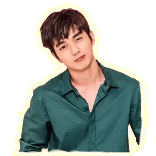 😊 man, korean, handsome, actor, celebrity, person, green shirt telegram sticker