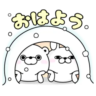 👋 おはよう おはよう, おはよう, くま, 猫, かわいい, かわいい telegram sticker
