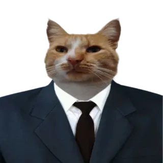 👨‍⚖️ 고양이, 정장, 격식, 동물, 사무실, 웃긴, 밈 telegram sticker