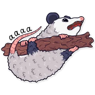 🅰️ aaaaa опоссум, опоссум, животное, милый, мем, смешной whatsapp sticker