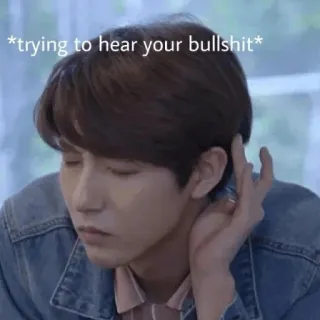 😀 *trying to hear your bullshit* mem, śmieszne, bzdury, nastawienie whatsapp sticker