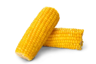 🍗 maíz, comida, verdura, amarillo, saludable, mazorca, maíz dulce telegram sticker