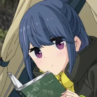 📕 Rin Shima Laid-Back Camp Anime, Yuru Camp, Rin Shima, Camping, Leitura, Fofo, Personagem, Garota telegram sticker