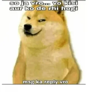 😂 Doge Doge Meme so ja vro... vo kisi aur ko de rhi hogi msg ka reply vro telegram sticker