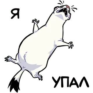 🫠 УЛБА Hermelin, Wiesel, Tier, Cartoon, süß, Säugetier telegram sticker