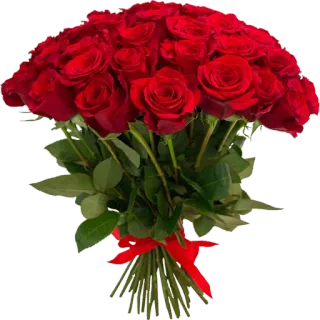 💐 Blumen, rote Rosen, Strauß, Rosen, Blumenarrangement, Geschenk, Liebe, Romantik telegram sticker