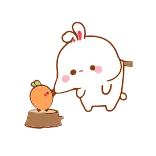 😩 กระต่าย, น่ารัก, บันนี่, สัตว์, คาวาอิ whatsapp sticker