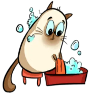💦 gato, baño, dibujos animados, animal, burbuja, agua, limpio telegram sticker