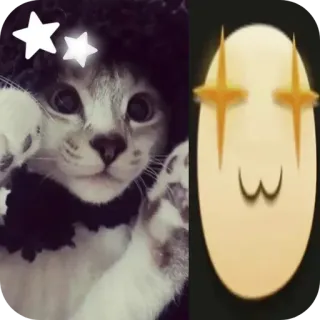 🐱 chat, animal, mignon, autocollant, animal de compagnie, chaton telegram sticker
