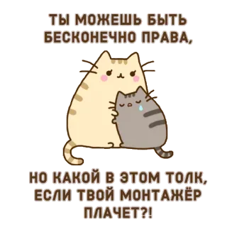 😭 ТЫ МОЖЕШЬ БЫТЬ
БЕСКОНЕЧНО ПРАВА,
НО КАКОЙ В ЭТОМ ТОЛК,
ЕСЛИ ТВОЙ МОНТАЖЁР
ПЛАЧЕТ?! кот, милый, плакать, грустный, каваи whatsapp sticker