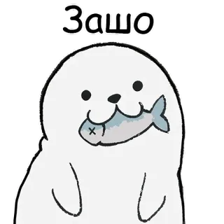 🙃 Зашо phoque, animal, dessin animé, mignon, poisson telegram sticker