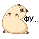 🤢 Фу... кот, смешной, животное, выражение, отвращение telegram sticker