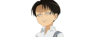🔰 Levi Ackerman Attack on Titan anime, manga, levi, ackerman, character, reaction, funny telegram sticker