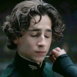 😐 Paul Atreides Dune Dune, Paul Atreides, Timothée Chalamet, movie, science fiction, actor telegram sticker