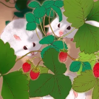 🐹 animals, hamster, strawberry, cute, nature telegram sticker