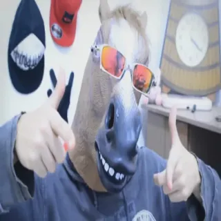 🐴 horse, sunglasses, mask, animal, thumbs up, costume, funny telegram sticker