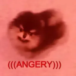 😡 (((ANGERY))) Hund, wütend, Meme, Zwergspitz, lustig, Haustier telegram sticker