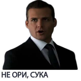 😵 Suits НЕ ОРИ, СУКА Anzüge, Anwalt, Drama, TV-Serie, Schimpfwörter telegram sticker