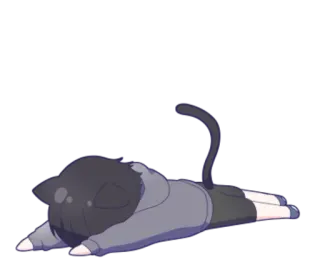 😞 gatto, carino, animale, anime telegram sticker