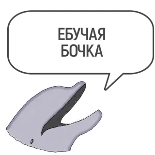 🛢 ЕБУЧАЯ БОЧКА delfín, bocadillo, lenguaje ofensivo whatsapp sticker