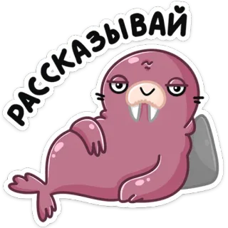 ☺️ РАССКАЗЫВАЙ foca, morsa, ruso, dime, dibujos animados, animal telegram sticker