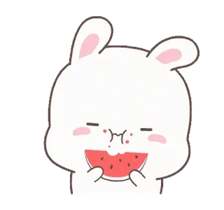 🍉 hase, wassermelone, süß, cartoon, tier, essen, aufkleber telegram sticker