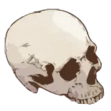 💀